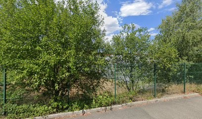 RAMONEUR LYON LE PUY ST ETIENNE FIRMINY YSSINGEAUX VILLARD IRINI BRIGNER | M. DEDINGER, Ramoneur au Chambon-Feugerolles