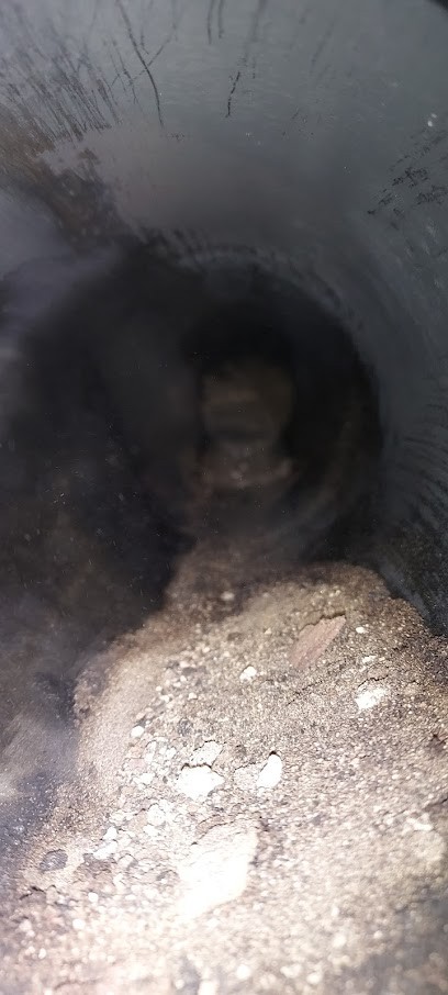 Bury services ramonage, Ramoneur à Rauwiller