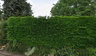 Dion Sarl, Ramoneur à Bihucourt