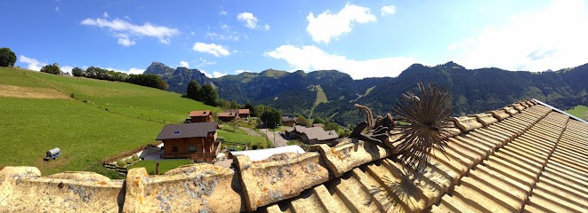 SARL COLLOUD Yann Ramonage, Ramoneur à Féternes