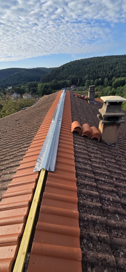 Gs Rénovation Ramoneur à Grosbliederstroff