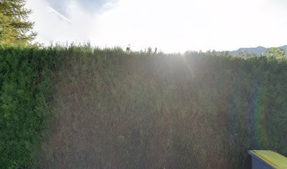 Lafon Patrick Maurice, Ramoneur à Gilly-sur-Isère