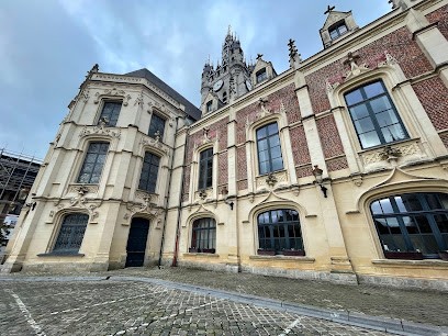 Brobald Gino, Ramoneur à Douai