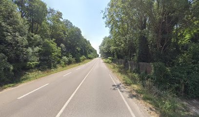 Flick Jean Desire, Ramoneur à Dijon